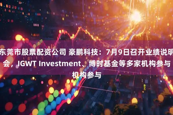 东莞市股票配资公司 豪鹏科技：7月9日召开业绩说明会，IGWT Investment、博时基金等多家机构参与