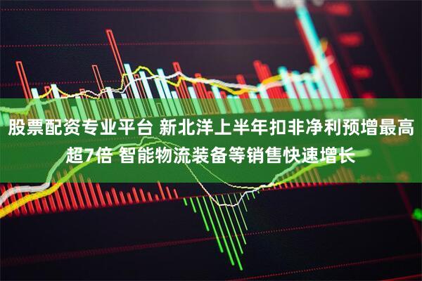 股票配资专业平台 新北洋上半年扣非净利预增最高超7倍 智能物流装备等销售快速增长