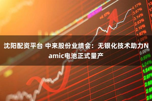 沈阳配资平台 中来股份业绩会：无银化技术助力Namic电池正式量产