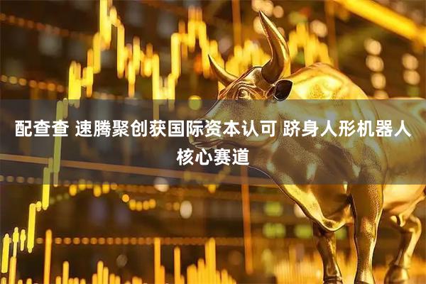 配查查 速腾聚创获国际资本认可 跻身人形机器人核心赛道